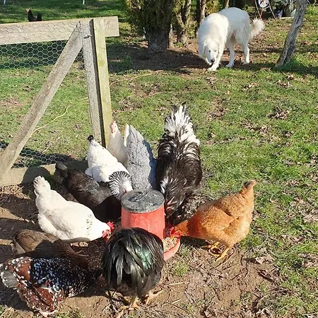 Gite Castandel Le Haut Fréjairolles Buitenkant foto